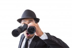 online job search