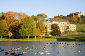 top colleges in new york/nyc
