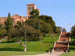 top 10 colleges in california