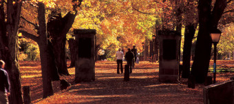 top colleges in ohio